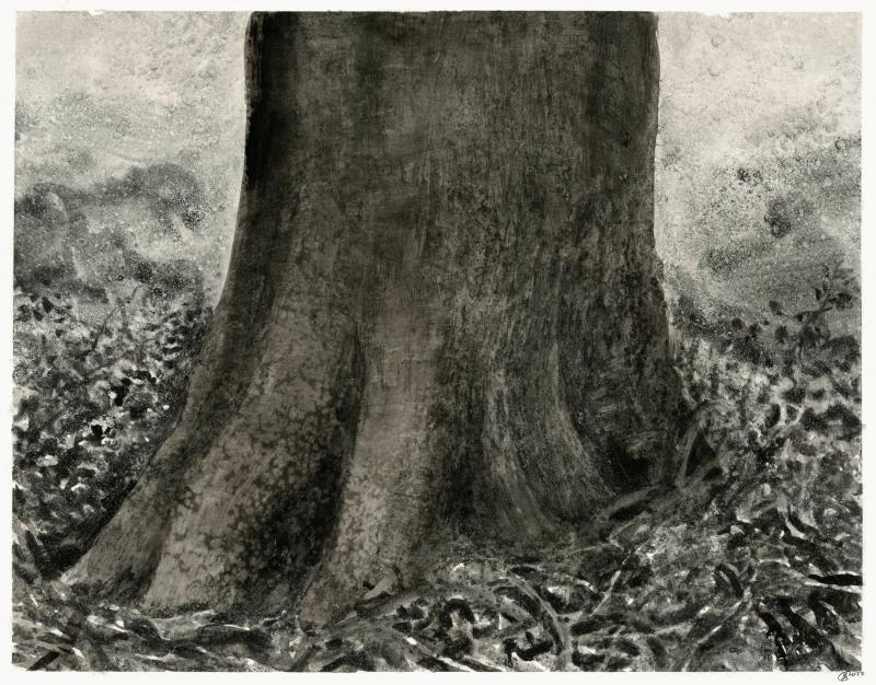 Forêt de Soignes 6